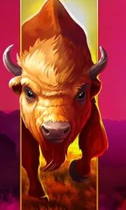 Big Wild Buffalo